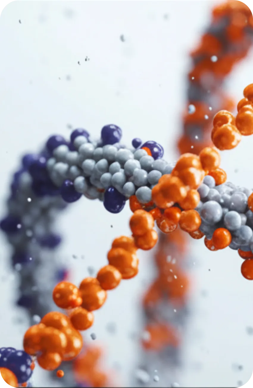 Vizualizare secundară a portalului medical